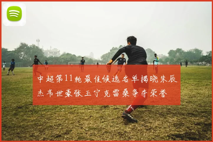中超第11轮最佳候选名单揭晓朱辰杰韦世豪张玉宁克雷桑争夺荣誉