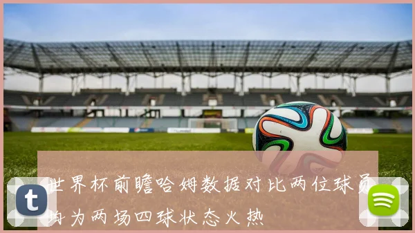 世界杯前瞻哈姆数据对比两位球员均为两场四球状态火热